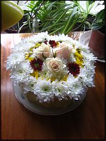 www.floristic.ru - .  .