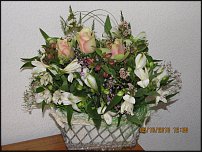 www.floristic.ru - . ,  .