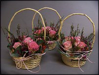 www.floristic.ru - . ,  .