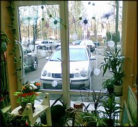 www.floristic.ru - Флористика. Экспонировать витрину и товар в ЦВЕТОЧНОМ магазине-это как?