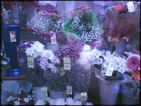 www.floristic.ru - Флористика. Экспонировать витрину и товар в ЦВЕТОЧНОМ магазине-это как?