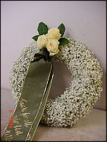 www.floristic.ru - . -   ?