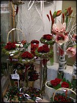 www.floristic.ru - .   