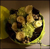 www.floristic.ru - .       - ?