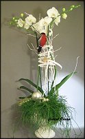 www.floristic.ru - .       - ?