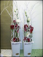 www.floristic.ru - .       - ?