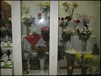 www.floristic.ru - .    