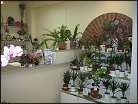 www.floristic.ru - Флористика. Как открыть свой салон