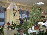 www.floristic.ru - .    