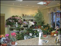 www.floristic.ru - Флористика. Как открыть свой салон
