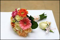 www.floristic.ru - .    