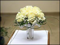 www.floristic.ru - .    