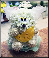 www.floristic.ru - .   ....