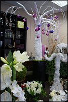 www.floristic.ru - .       - ?