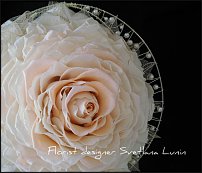 www.floristic.ru - Флористика. Стабилизированные или консервированные растения - аналог искусственных цветов!