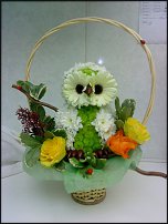 www.floristic.ru - .   ....