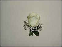 www.floristic.ru - .  .