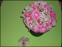 www.floristic.ru - .  .