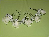 www.floristic.ru - .  .