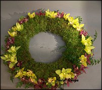 www.floristic.ru - .  