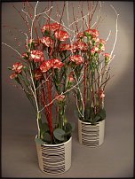 www.floristic.ru - .       - ?