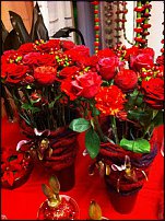 www.floristic.ru - .       - ?