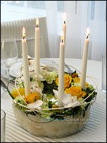 www.floristic.ru - .  .