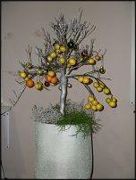 www.floristic.ru - .  