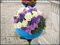 www.floristic.ru - . " "    