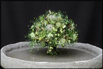 www.floristic.ru - . Ulrich Stelzer ( )