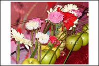 www.floristic.ru - . NEW-   2011