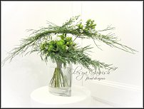 www.floristic.ru - .   