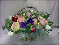 www.floristic.ru - . NEW-   2011