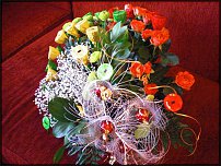 www.floristic.ru - .     -,  ..