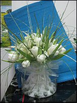 www.floristic.ru - . NEW-   2011