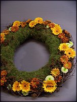 www.floristic.ru - .  ....   .