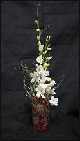 www.floristic.ru - . NEW-   2011