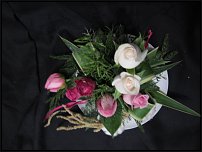 www.floristic.ru - .  