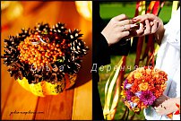 www.floristic.ru - . NEW-   2011