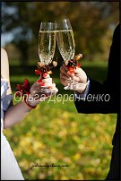 www.floristic.ru - . NEW-   2011