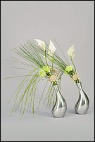 www.floristic.ru - . -    7