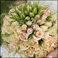 www.floristic.ru - . !!!!!