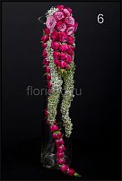 www.floristic.ru - . - - 2011