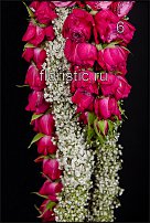 www.floristic.ru - . - - 2011