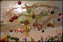 www.floristic.ru - .    