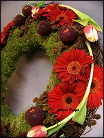 www.floristic.ru - .  