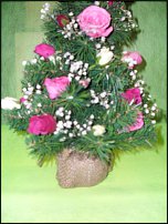 www.floristic.ru - .  