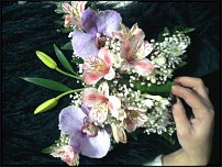 www.floristic.ru - .  