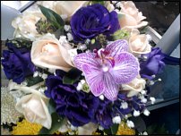 www.floristic.ru - .  