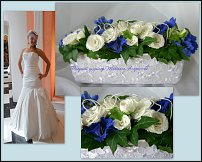 www.floristic.ru - . NEW-   2011